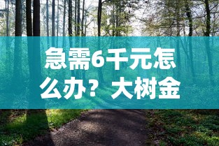 急需6千元怎么办？大树金融是哪个银行试试这6个无门槛平台