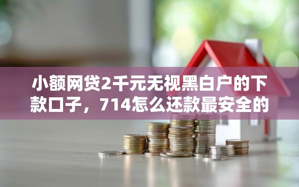 小额网贷2千元无视黑白户的下款口子,714怎么还款最安全的5个平台介绍 小额网贷2千元无视黑白户的下款口子,714怎么还款最安全的5个平台介绍