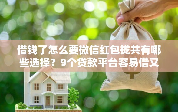 借钱了怎么要微信红包拢共有哪些选择?9个贷款平台容易借又安全利息低详解 借钱了怎么要微信红包拢共有哪些选择?9个贷款平台容易借又安全利息低详解