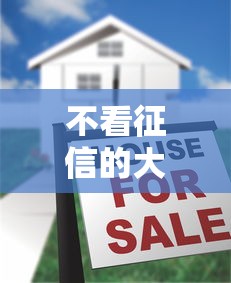 不看征信的大额贷款有没有?8个平台试试看哪个能下款 不看征信的大额贷款有没有?8个平台试试看哪个能下款