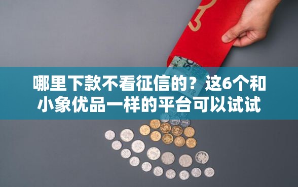 哪里下款不看征信的？这6个和小象优品一样的平台可以试试
