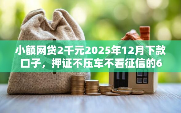 小额网贷2千元2025年12月下款口子，押证不压车不看征信的6个平台介绍
