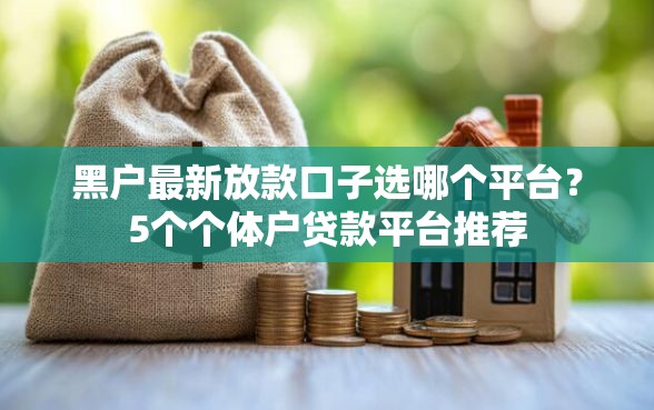 黑户最新放款口子选哪个平台？5个个体户贷款平台推荐