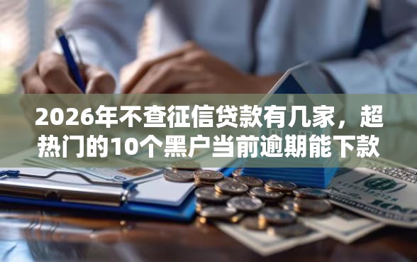 2026年不查征信贷款有几家，超热门的10个黑户当前逾期能下款的口子推荐