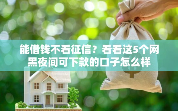 能借钱不看征信？看看这5个网黑夜间可下款的口子怎么样