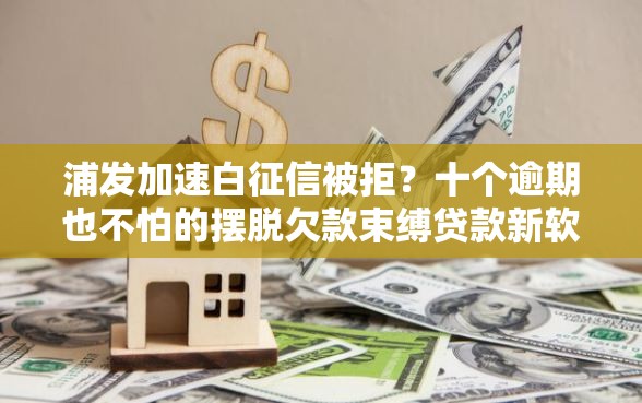 浦发加速白征信被拒？十个逾期也不怕的摆脱欠款束缚贷款新软件