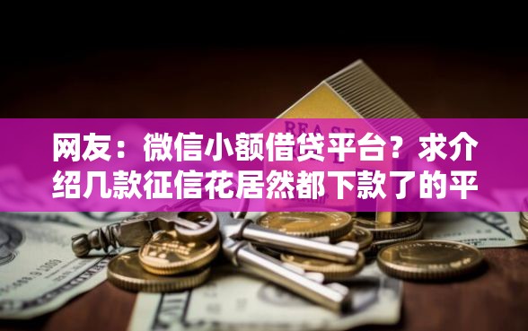 网友:微信小额借贷平台?求介绍几款征信花居然都下款了的平台 网友:微信小额借贷平台?求介绍几款征信花居然都下款了的平台