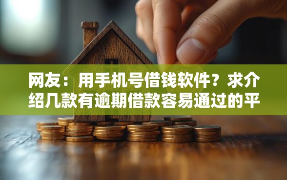 网友：用手机号借钱软件？求介绍几款有逾期借款容易通过的平台