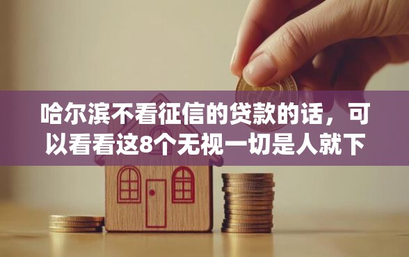 哈尔滨不看征信的贷款的话，可以看看这8个无视一切是人就下款的app