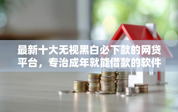 最新十大无视黑白必下款的网贷平台，专治成年就能借款的软件