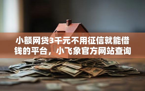 小额网贷3千元不用征信就能借钱的平台，小飞象官方网站查询的6个平台介绍