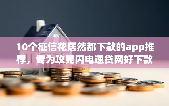 10个征信花居然都下款的app推荐，专为攻克闪电速贷网好下款吗难题