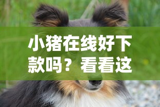 小猪在线好下款吗？看看这6个半夜下款的714口子怎么样