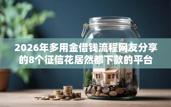 2026年多用金借钱流程网友分享的8个征信花居然都下款的平台我觉得不错! 2026年多用金借钱流程网友分享的8个征信花居然都下款的平台我觉得不错!