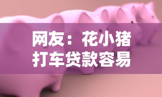 网友：花小猪打车贷款容易下款吗？求介绍几款网贷小平台