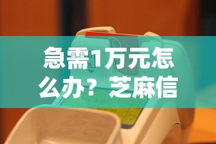 急需1万元怎么办？芝麻信用604分能用贷款试试这6个无门槛平台