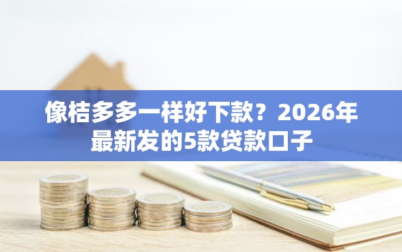 像桔多多一样好下款？2026年最新发的5款贷款口子
