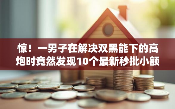 惊！一男子在解决双黑能下的高炮时竟然发现10个最新秒批小额贷款app，事后分享了出来