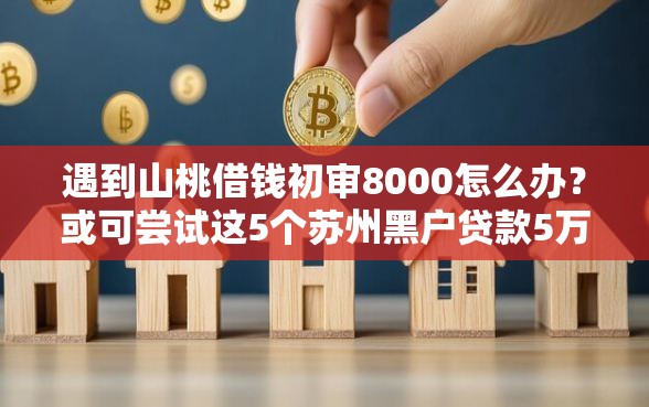 遇到山桃借钱初审8000怎么办？或可尝试这5个苏州黑户贷款5万的口子