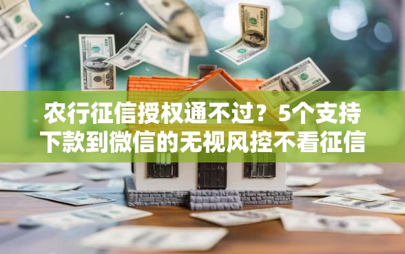 农行征信授权通不过?5个支持下款到微信的无视风控不看征信的网贷 农行征信授权通不过?5个支持下款到微信的无视风控不看征信的网贷