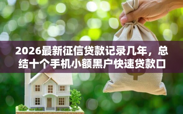 2026最新征信贷款记录几年，总结十个手机小额黑户快速贷款口子！