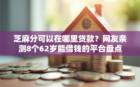 芝麻分可以在哪里贷款？网友亲测8个62岁能借钱的平台盘点