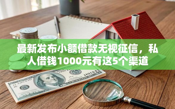 最新发布小额借款无视征信，私人借钱1000元有这5个渠道