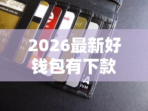 2026最新好钱包有下款（支持支付宝），5个好批的小额贷款平台无私分享