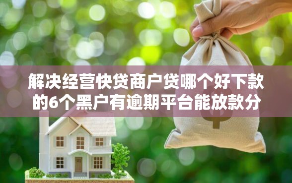 解决经营快贷商户贷哪个好下款的6个黑户有逾期平台能放款分享