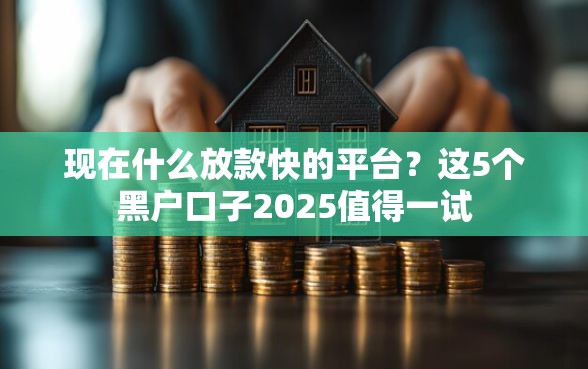 现在什么放款快的平台？这5个黑户口子2025值得一试