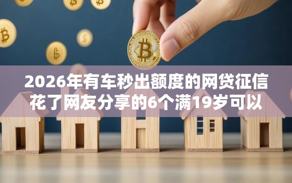 2026年有车秒出额度的网贷征信花了网友分享的6个满19岁可以借款的口子我觉得不错！