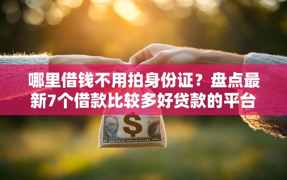 哪里借钱不用拍身份证？盘点最新7个借款比较多好贷款的平台呢