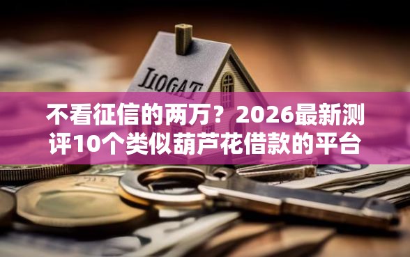 不看征信的两万？2026最新测评10个类似葫芦花借款的平台