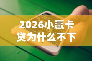 2026小赢卡贷为什么不下款，差4千元就选这5个平台