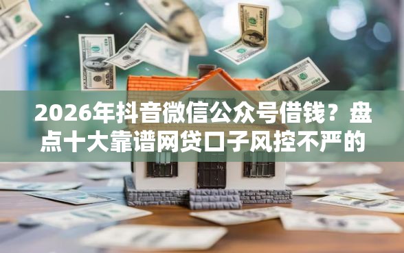 2026年抖音微信公众号借钱？盘点十大靠谱网贷口子风控不严的软件