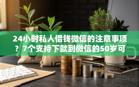24小时私人借钱微信的注意事项？7个支持下款到微信的50岁可以借款的网贷平台