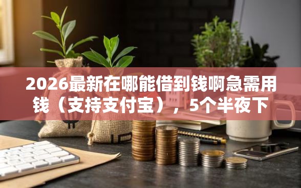 2026最新在哪能借到钱啊急需用钱（支持支付宝），5个半夜下款的714口子无私分享