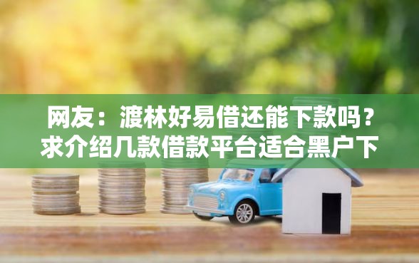网友：渡林好易借还能下款吗？求介绍几款借款平台适合黑户下款