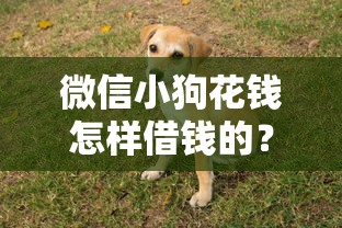 微信小狗花钱怎样借钱的？这7个平台借钱容易通过值得一试