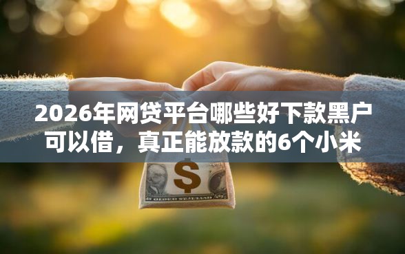 2026年网贷平台哪些好下款黑户可以借，真正能放款的6个小米贷款平台推荐