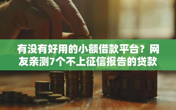 有没有好用的小额借款平台？网友亲测7个不上征信报告的贷款平台盘点