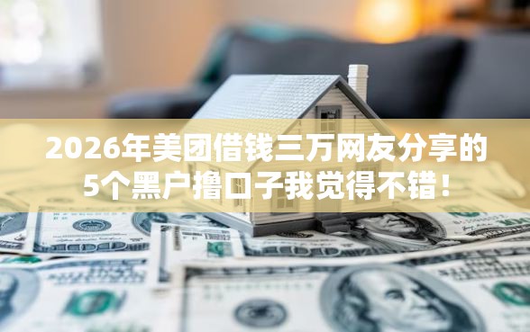 2026年美团借钱三万网友分享的5个黑户撸口子我觉得不错！