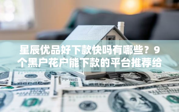 星辰优品好下款快吗有哪些?9个黑户花户能下款的平台推荐给你 星辰优品好下款快吗有哪些?9个黑户花户能下款的平台推荐给你