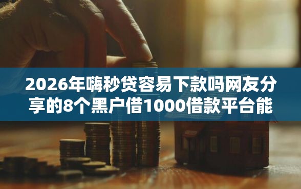 2026年嗨秒贷容易下款吗网友分享的8个黑户借1000借款平台能放款我觉得不错！