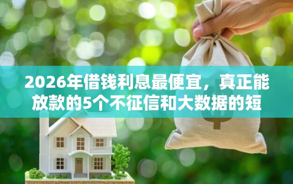 2026年借钱利息最便宜，真正能放款的5个不征信和大数据的短期网贷适合58岁的平台推荐