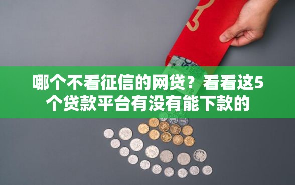 哪个不看征信的网贷？看看这5个贷款平台有没有能下款的