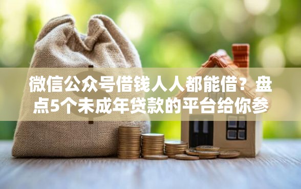 微信公众号借钱人人都能借？盘点5个未成年贷款的平台给你参考