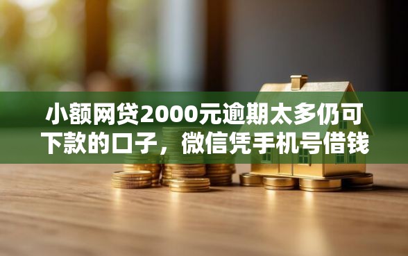 小额网贷2000元逾期太多仍可下款的口子，微信凭手机号借钱的8个平台介绍