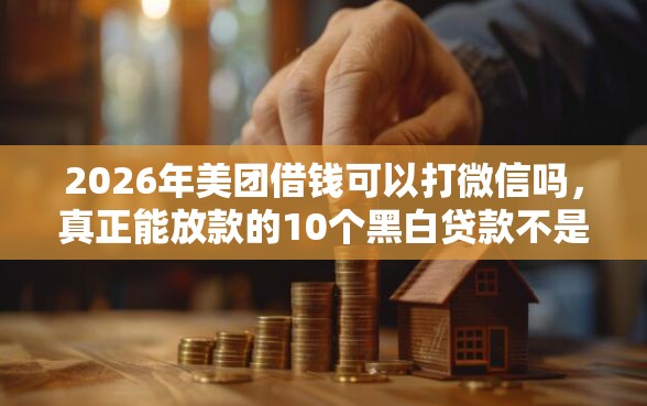 2026年美团借钱可以打微信吗，真正能放款的10个黑白贷款不是高炮的软件推荐