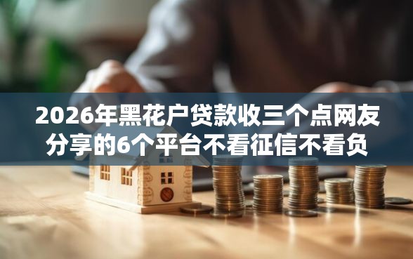 2026年黑花户贷款收三个点网友分享的6个平台不看征信不看负债好下款我觉得不错！